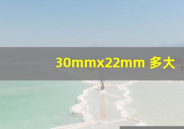 30mmx22mm 多大